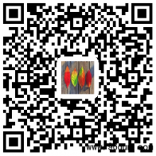 ����΢�������Ⱥ