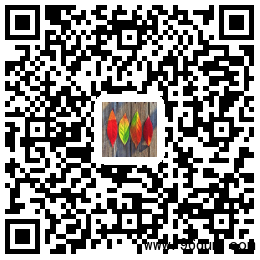 信誉微信抢红包群