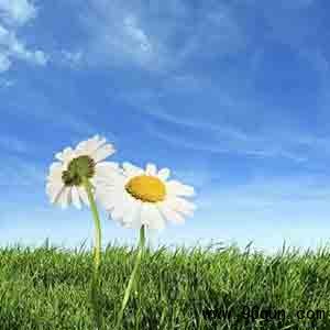 做微信群构建更好的沟通与管理模式