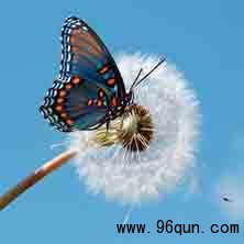 微信红包群宣传得再好也不能不创新