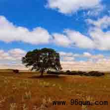 基于兴趣的微信社群也是一种解法