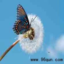 如何查找微信群的方法和步骤