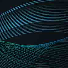 �����޷���΢��Ⱥ